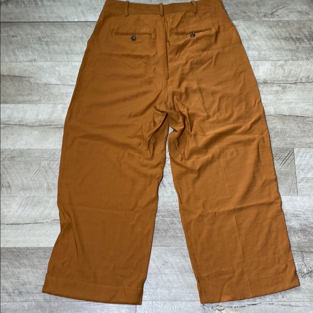 Madewell Wide Leg Pants Size 6 Rust Brown High Rise Button Front Casual Chic - Picture 5 of 13